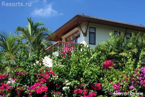 Rising Sun Residence 31
